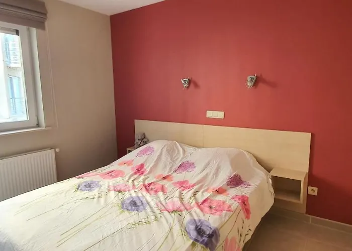 Beau Site 公寓 布兰肯贝赫