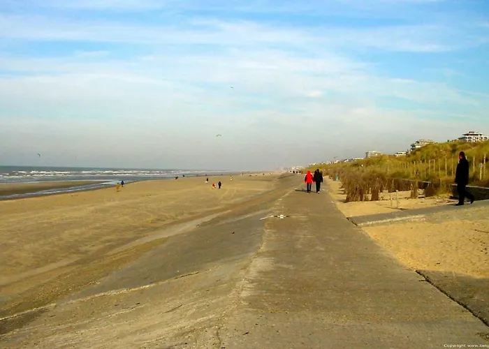 公寓 Beau Site 布兰肯贝赫